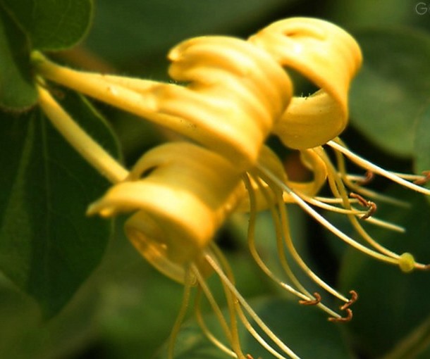 �ӱ�������|ʯ��ׯ������|޻�ǽ�����|���ݽ�����|����������|�������۸�-��ϸ����